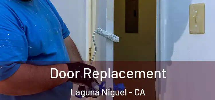  Door Replacement Laguna Niguel - CA