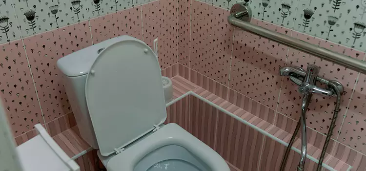 Meeting Diverse Needs With Accessible Restroom Solutions in Laguna Niguel, CA
